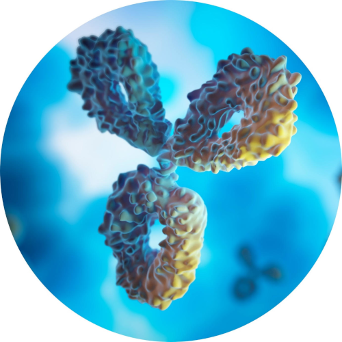 Antibody Suppliers in South & East Asia