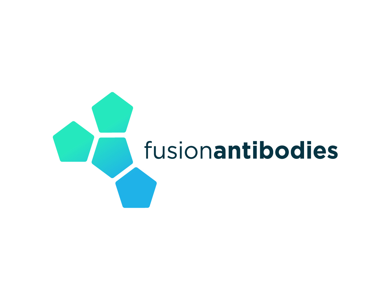 Fusion Antibodies