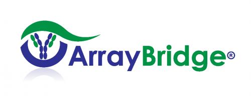 Array Bridge Inc