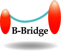 B-Bridge International Inc (Japan) B-Bridge International Inc (Japan)